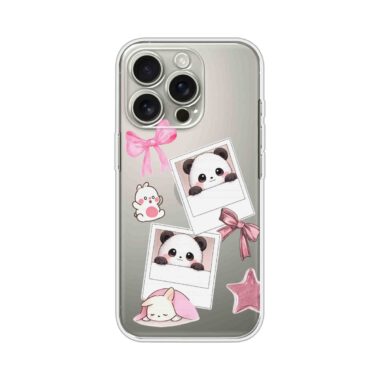 Clear Case